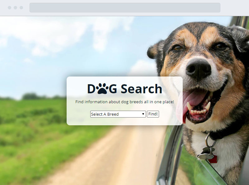 Dog Search App